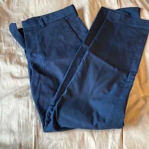 Express Dress pants